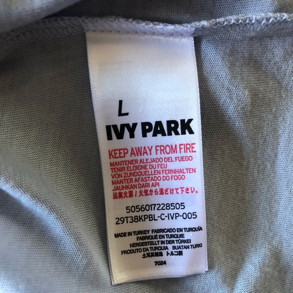 ❌ SOLD ❌ NWT Ivy Park Blue Graphic Logo Tee - Picture 5 of 6
